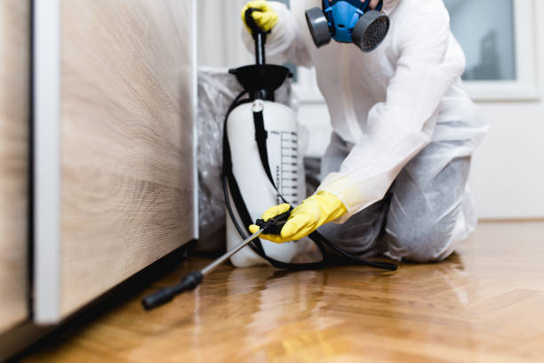 Best Emergency Pest Control  in Auxvasse, MO