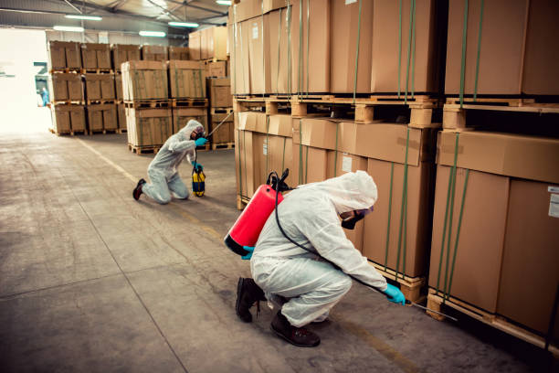 Best Mosquito Control Services  in Auxvasse, MO