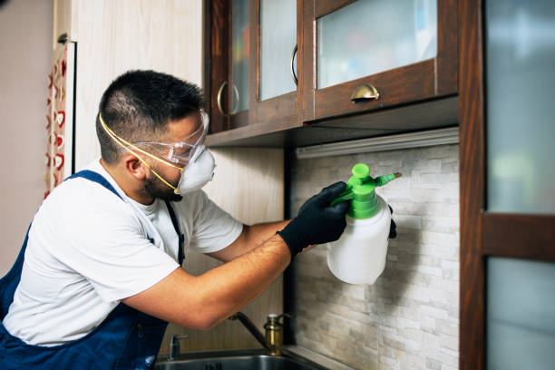 Best Pest Control for Restaurants  in Auxvasse, MO