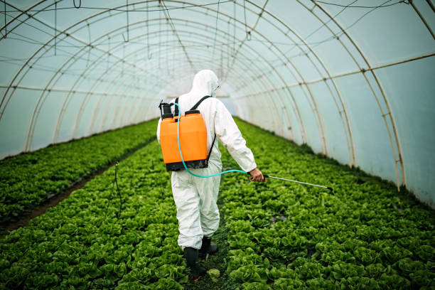 Professional Pest Control in Auxvasse, MO