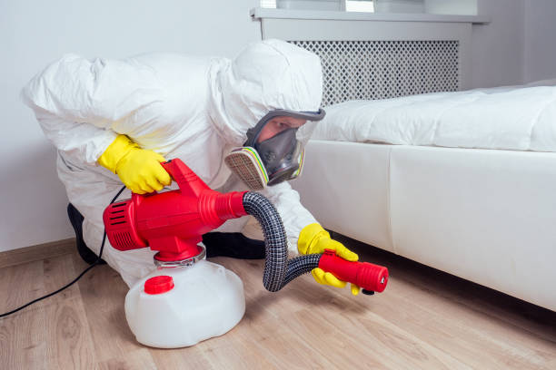 Best Wasp Removal Services  in Auxvasse, MO