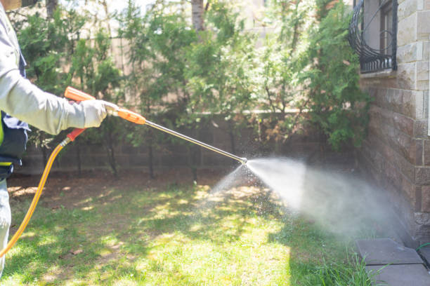 Best Pest Removal Services  in Auxvasse, MO