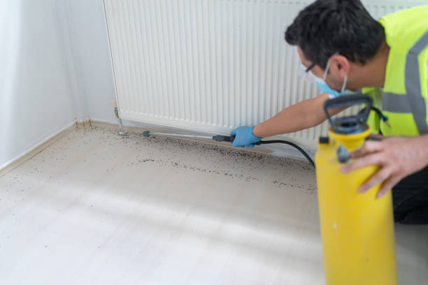 Best Cockroach Control Services  in Auxvasse, MO
