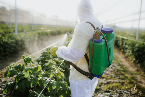Best Emergency Pest Control  in Auxvasse, MO